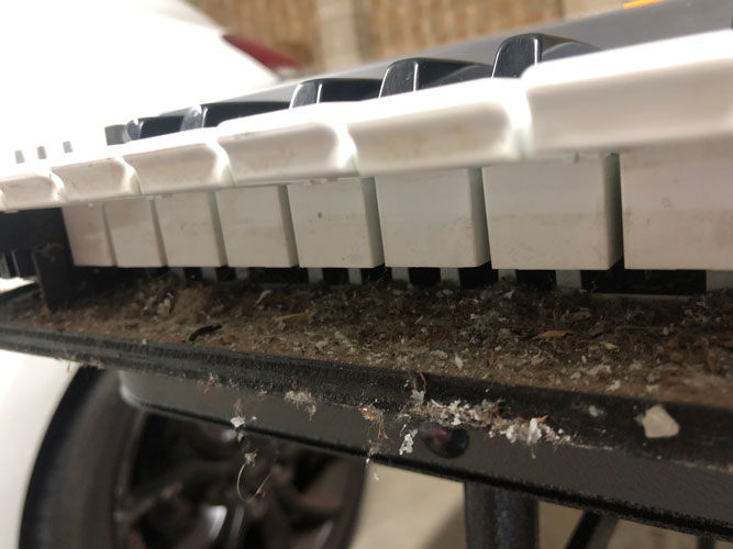 Roland Juno-106 Keybed Under