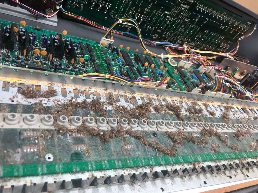 Roland Juno-106 Keybed Wide